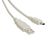 Tocadiscos JVC GR2 Cable Usb    