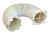 Secadoras WHIRLPOOL AWB17 Tubo Flexible    