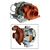 Lavavajillas SMEG STX2 *ac Moteur    