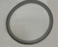 Lavadoras White-westinghouse SW51-93628006 GOMA DE ESCOTILLA SBM000169